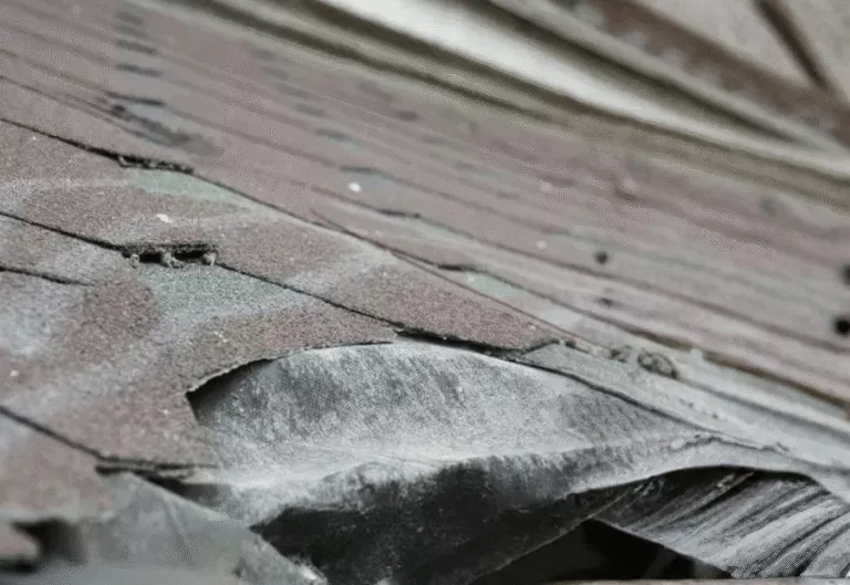 Close-up of broken and curling shingles caused by severe storm damage